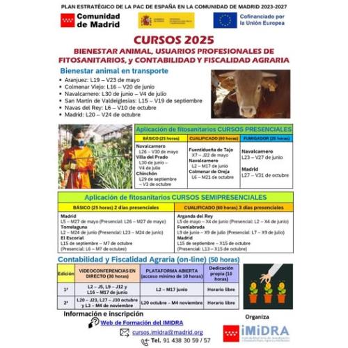 Cursos gratuitos IMIDRA